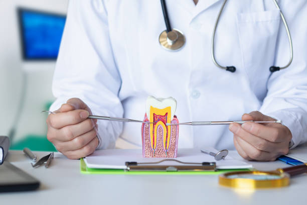 Best Urgent Dental Care for Toothaches in Fraser, MI